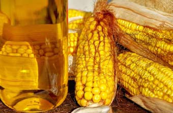 Застосування кукурудзяної олії