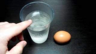 перевірка яєць в домашніх умовах