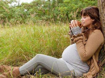 Сечогінні трави при вагітності: користь чи шкода?